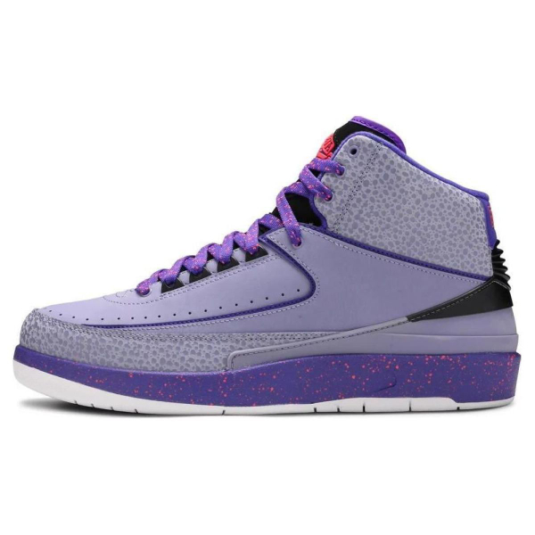 Jordan Air Jordan 2 Retro Iron Purple
