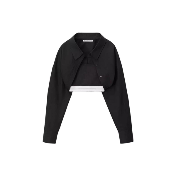 Alexander wang