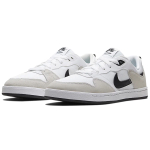 Nike SB Alleyoop