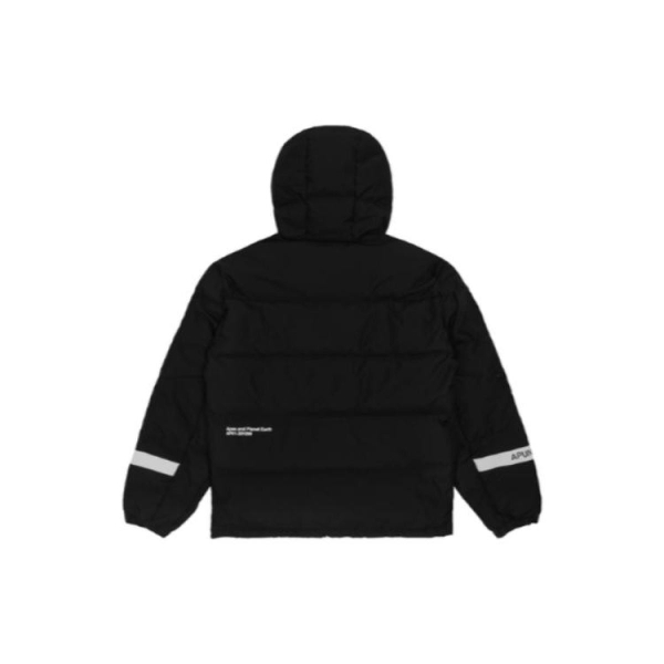 Aape x NASA Logo