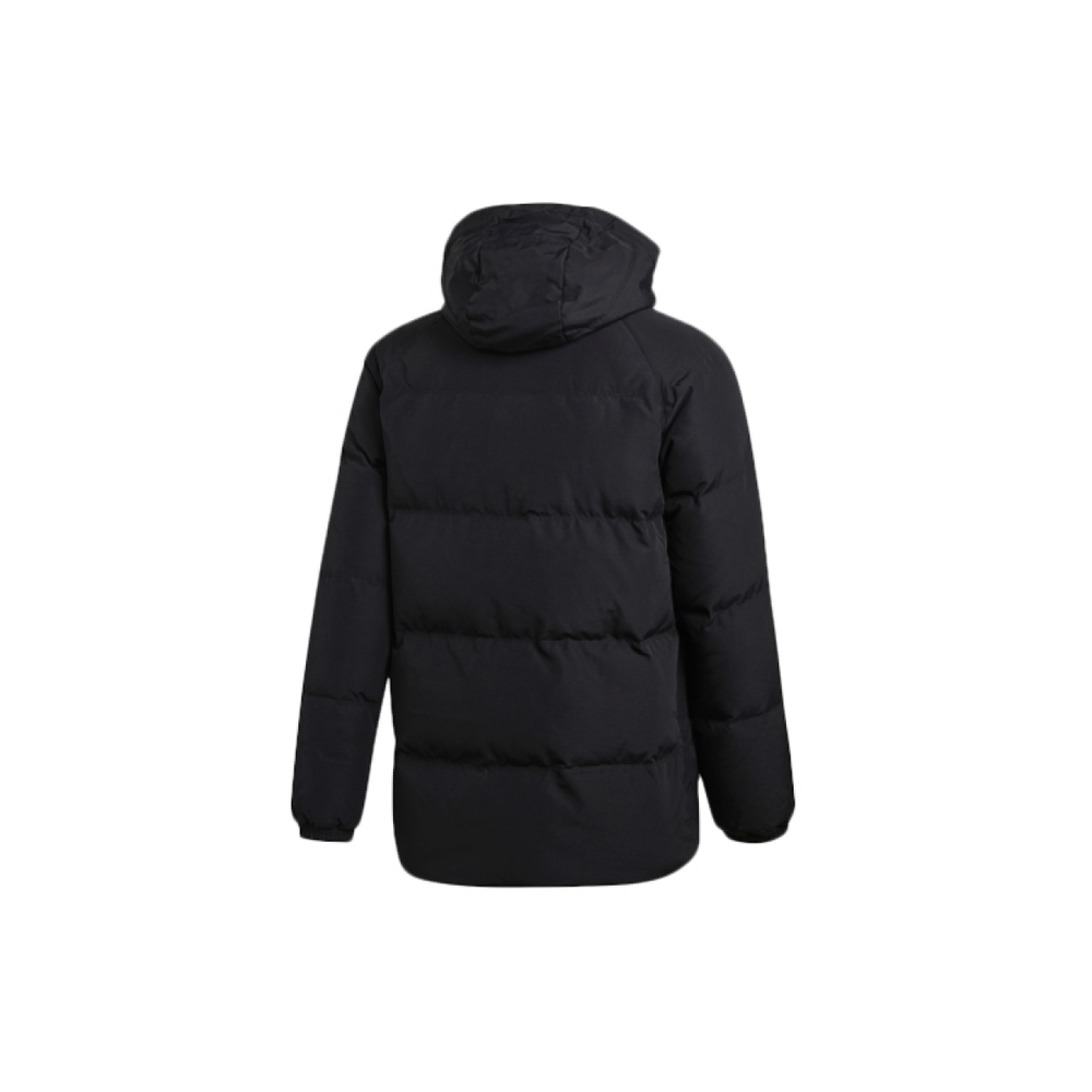Adidas originals Winter Badge Jkt