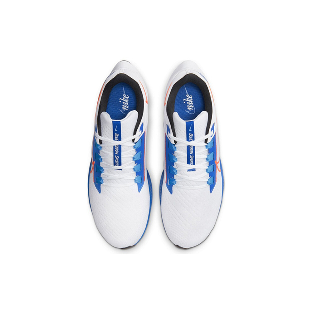 Nike Pegasus 38