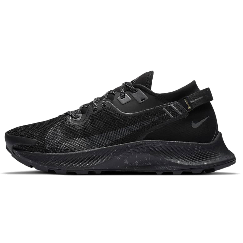 Nike Pegasus Trail 2