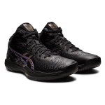 Asics Gel-Hoop V14