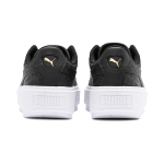 PUMA Platform Trace Reinvent