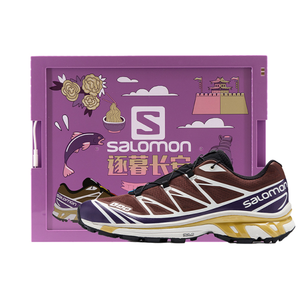 Salomon XT-6