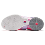 Anta 5 V2