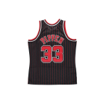 Mitchell & Ness NBA SW · 33