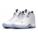 Nike Foamposite One Little