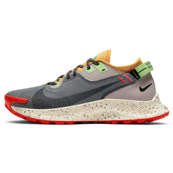 Nike Pegasus Trail 2 GTX