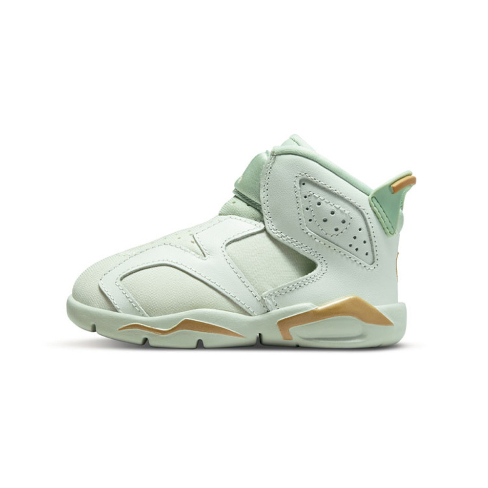 Jordan Air Jordan 6 LTL Flex GC