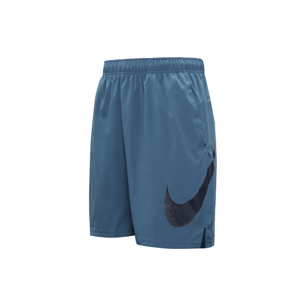 Nike Flex Logo