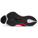 Jordan Air Zoom Renegade