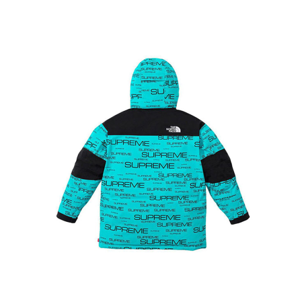 Supreme x /THE NORTH FACE FW21TNF Logo