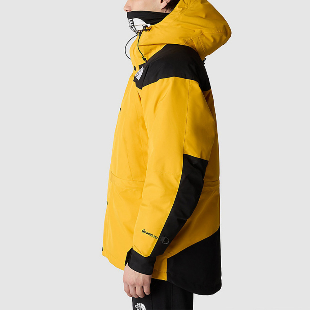 /THE NORTH FACE GTX mountain jacket