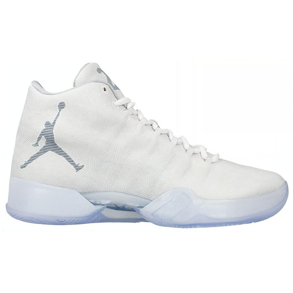 Jordan Air Jordan 29