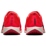 Nike Pegasus turbo 2