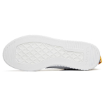 Anta