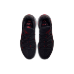 Nike Lebron 17