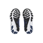 Asics Gel-Kayano 30