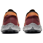 Nike Pegasus Trail 2