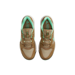 Nike ACG Lowcate