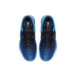 Jordan Air Jordan 31 Royal