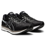 Asics EvoRide 1