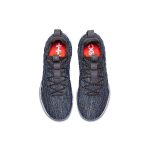 Nike Lebron 15 Low Signal
