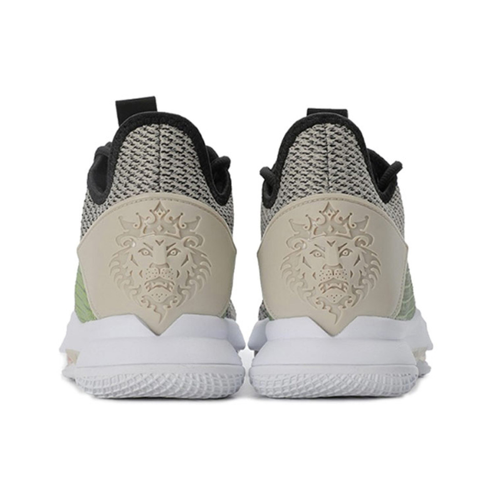 Nike Witness 4 LeBron EP