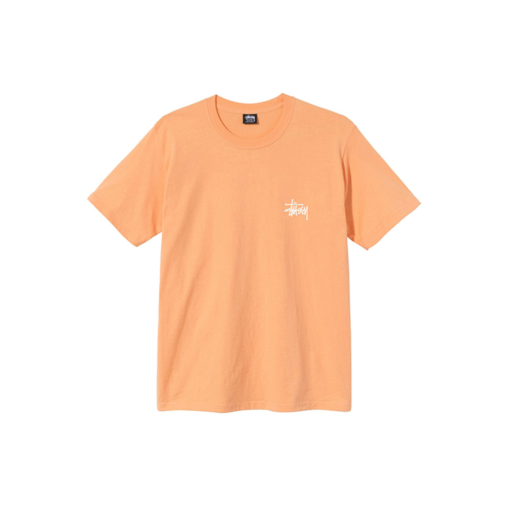Stussy T