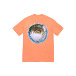 Supreme SS23 WEEK18 BLOWFISH TEE T