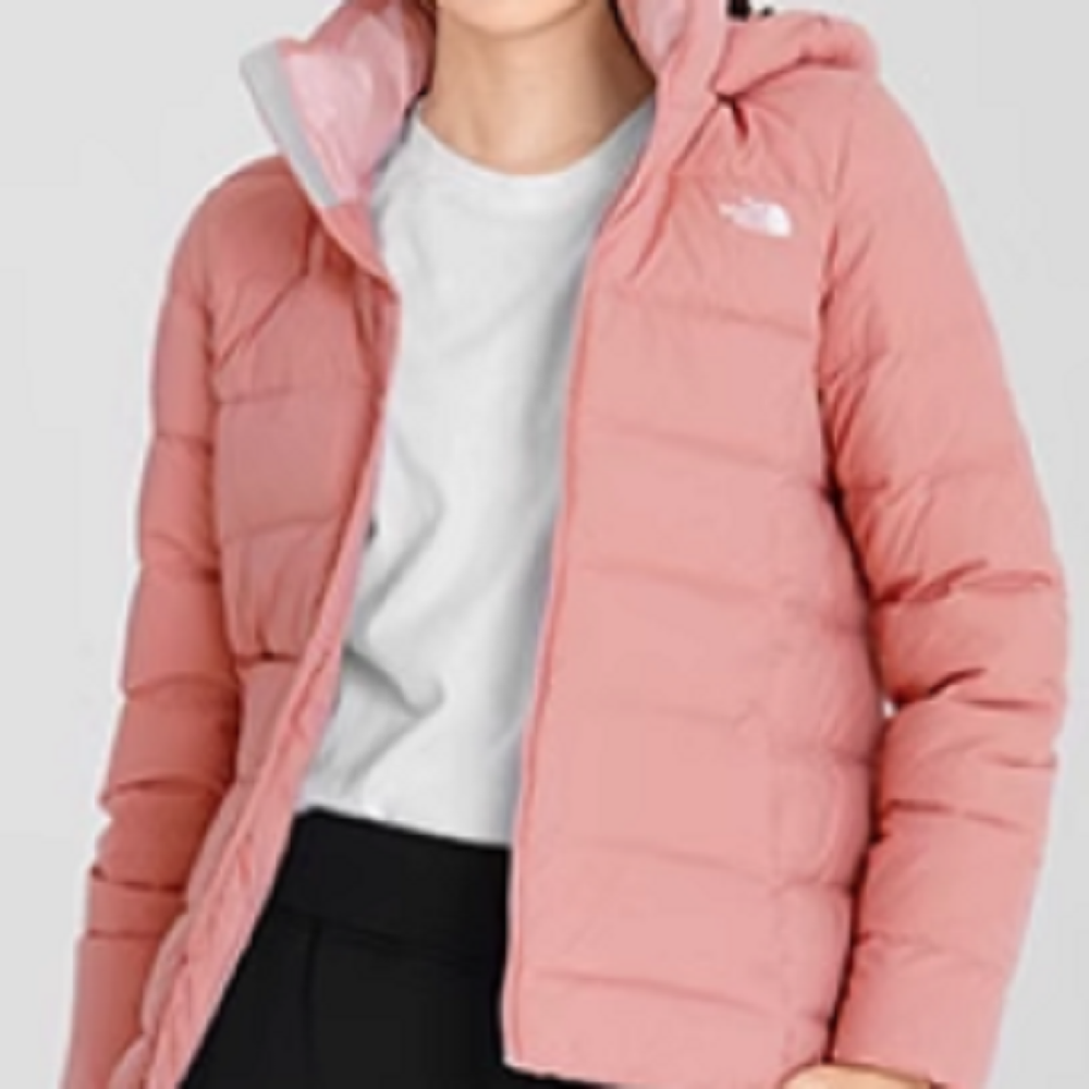 THE NORTH FACE Logo 550
