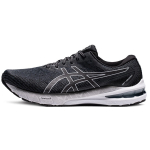 Asics GT-2000 10 2E