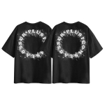 ICONS Lab T