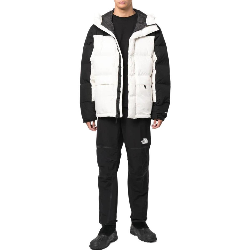 THE NORTH FACE FW22 Logo