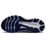 Asics GT-2000 10