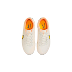 Nike Tiempo Legend 9 Academy FG/MG