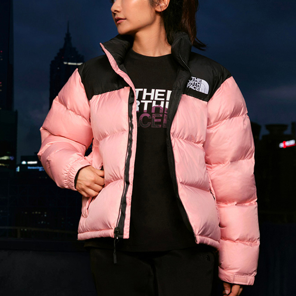 THE NORTH FACE 1996 Retro Nuptse 1996 700