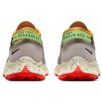 Nike Pegasus Trail 2 GTX
