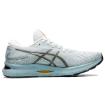 Asics GEL-Nimbus 24