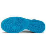 【 】 Nike Dunk Low FZBB Vibe