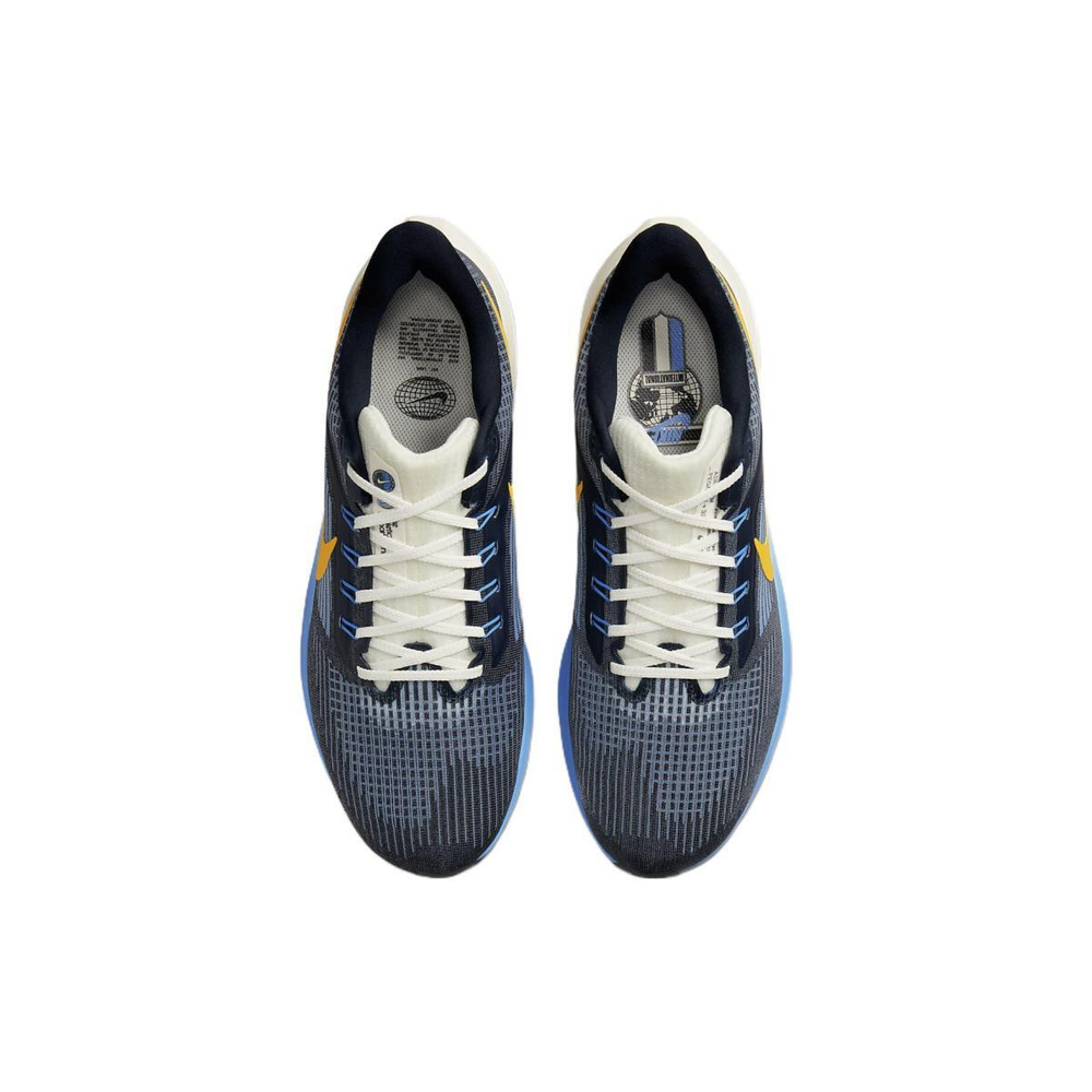 Nike Air Zoom Pegasus 39