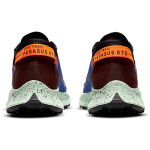 Nike Pegasus Trail 2 Zoom GORE-TEX