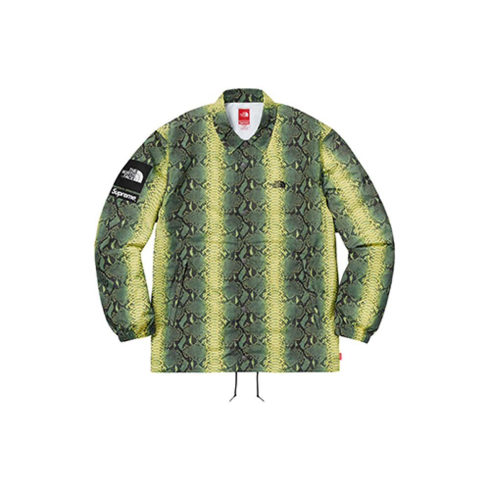 Supreme x /THE NORTH FACE SS18TNF