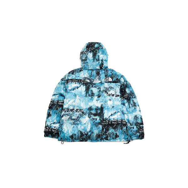 THE NORTH FACE FW22 Logo 550