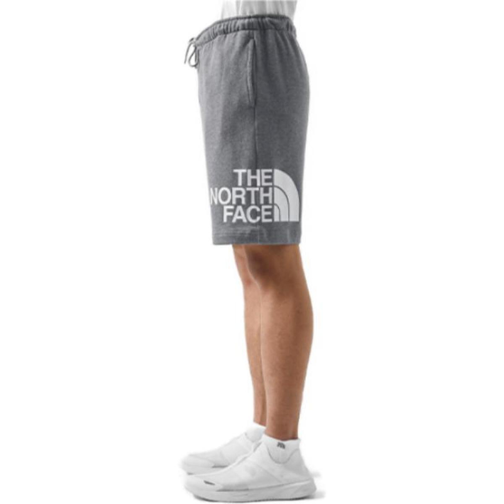 /THE NORTH FACE SS23 Logo
