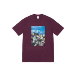 Supreme 2022 FW22 Week 1 Trash Tee T
