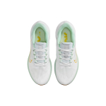 Nike Zoom Winflo 9