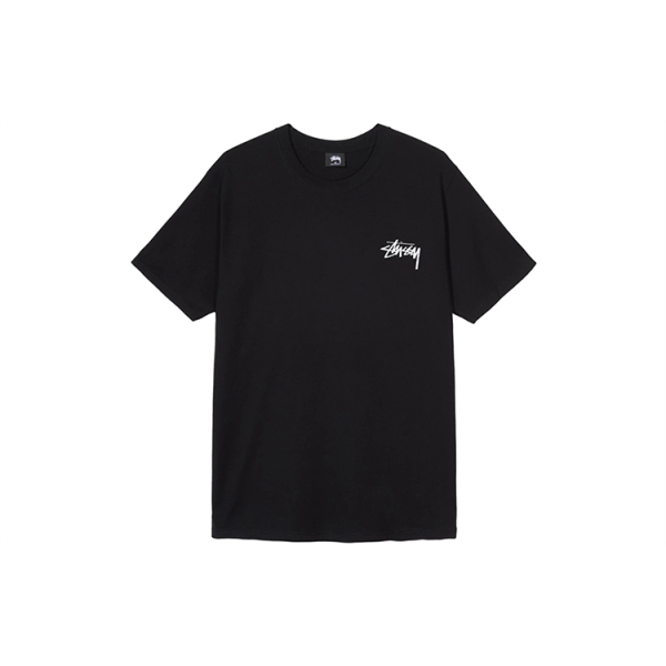 Stussy Falls Tee T